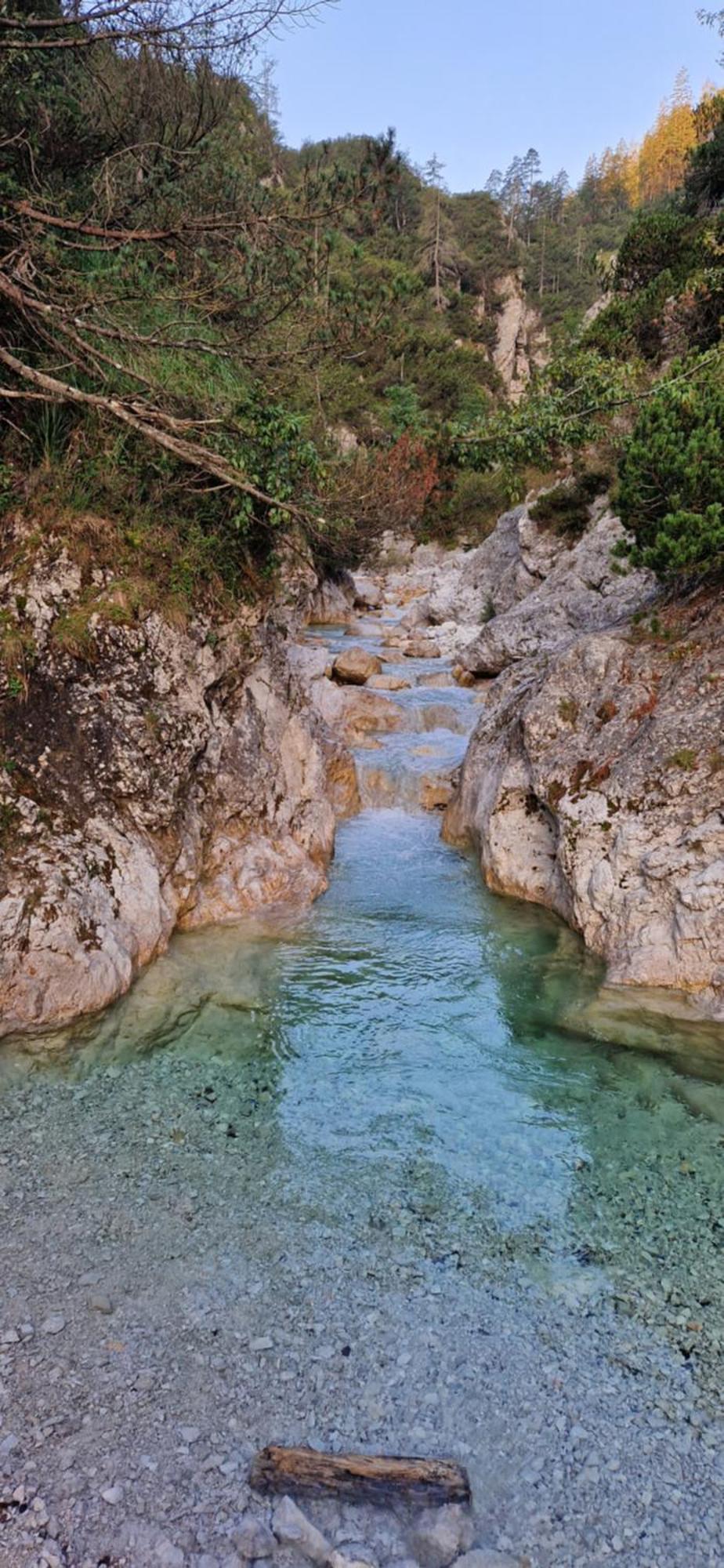 Brina * Kranjska Gora
